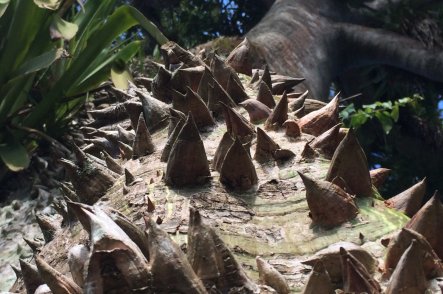 Guyany a Surinam, nejexotičtější týden v životě - Francouzská Guyana