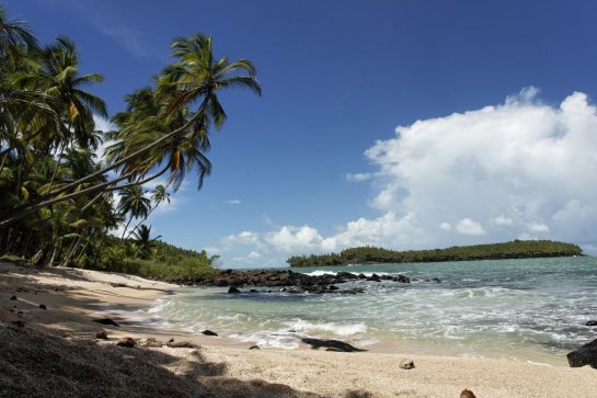 Guyany a Surinam, nejexotičtější týden v životě - Surinam