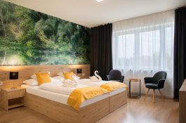Hotel Gyirmót Sport & Wellness - Maďarsko - Györ