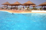 HALOUMI - Egypt - Sharm El Sheikh - Naama Bay