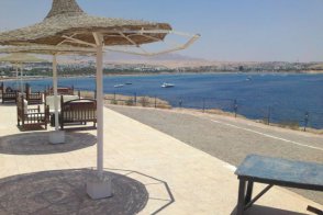 HALOUMI - Egypt - Sharm El Sheikh - Naama Bay