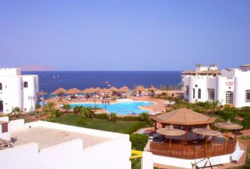 HALOUMI - Egypt - Sharm El Sheikh - Naama Bay