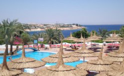 Harem - Egypt - Sharm El Sheikh