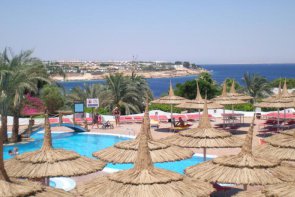 Harem - Egypt - Sharm El Sheikh