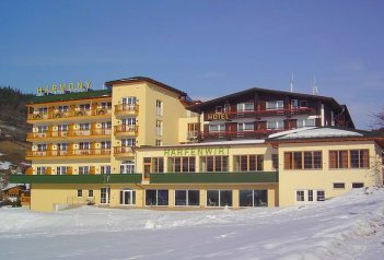 HARMONY HOTEL HARFENWIRT - Rakousko - Wildschönau - Niederau