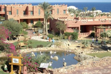 HAUZA BEACH RESORT - Egypt - Sharm El Sheikh - Nabq Bay