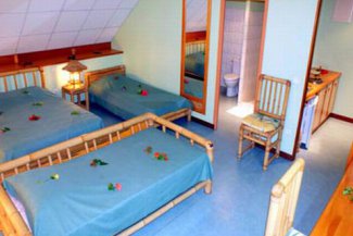 Hibiscus Moorea - Francouzská Polynésie - Moorea