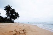 HIKKADUWA BEACH HOTEL - Srí Lanka - Hikkaduwa