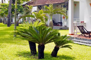 Hoi An Beach Resort - Vietnam - Hoi An