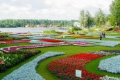 Holandská mozaika a světová výstava Floriade - Nizozemsko