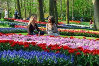 Holandská mozaika a světová výstava Floriade - Nizozemsko