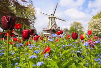 Holandská mozaika a světová výstava Floriade - Nizozemsko