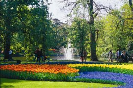 Holandsko - květinové korzo a Floriade - Nizozemsko