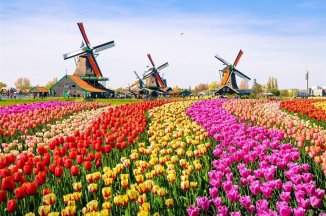 Holandsko, květinové korzo - Den krále v Amsterdamu - Volendam - Nizozemsko
