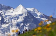 Horská turistika v Bernských Alpách pro nezávislé cestovatele - 8 dní - Švýcarsko - Berner Oberland