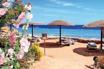 Hotel Albatros Royal Grand - Egypt - Sharm El Sheikh