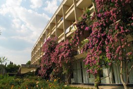 Hotel Alem - Chorvatsko - Makarská riviéra - Baško Polje