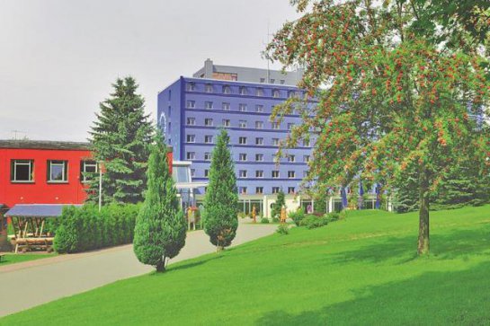 Hotel am Bühl - Německo - Sasko