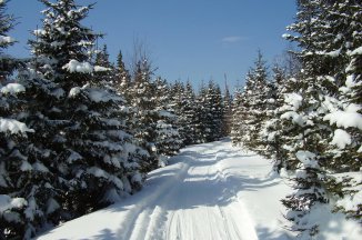 Hotel Arnika - Česká republika - Šumava