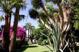 Hotel Bajondillo Hotel Aptos - Španělsko - Torremolinos