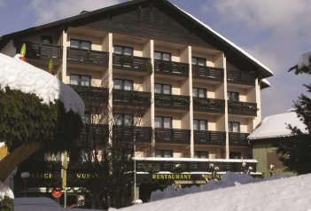 Hotel Böhmerwaldhof - Rakousko - Horní Rakousko - Ulrichsberg