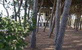 Hotel CSA Park & Beach - Itálie - Toskánsko - Marina di Bibbona