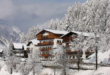 Hotel Des Alpes