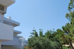 Hotel Efesos Beach Boutique - Řecko - Kos - Tigaki