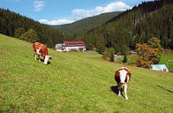 Hotel Galik - Česká republika - Beskydy a Javorníky