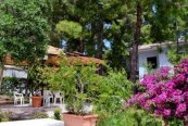 Hotel Garden - Itálie - Gargano - San Menaio