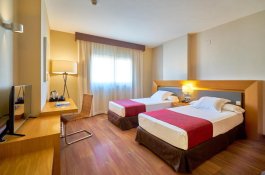 Hotel Guadalmedina - Španělsko - Costa del Sol - Malaga