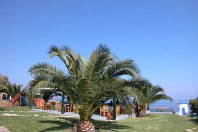 Hotel Koralli Beach - Řecko - Peloponés - Niforeika