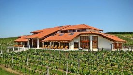 Hotel Korona