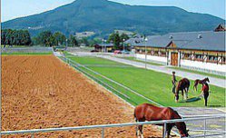 Hotel Prosper - Česká republika - Beskydy a Javorníky - Čeladná