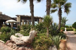 HOTEL RIU TIKIDA BEACH - Maroko - Agadir 