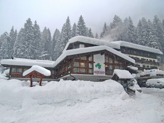 Hotel Selva