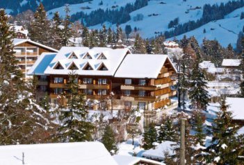 Hotel Steinmattli - Švýcarsko - Berner Oberland