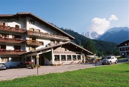 Hotel Stella Alpina