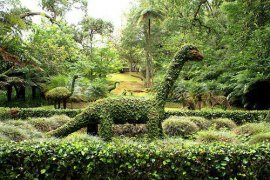 Hotel Tera Nostra Garden - Portugalsko - Azory - Sao Miguel