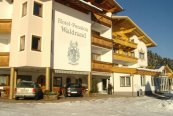 Hotel Waldrand - Rakousko - Zillertal - Ried