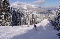 Irma - Itálie - Folgaria - Lavarone