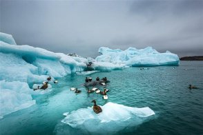 Island - fotoexpedice do země ledu a ohně - Island