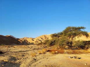 Izrael - expedice do Negevské pouště