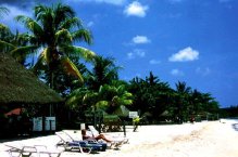 Jamajka – za poznáním ostrova a relaxem na plážích - Jamajka