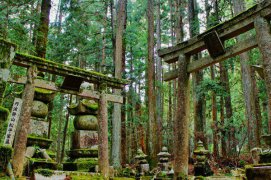 Japonskem po místech s tisíciletou historií - Japonsko