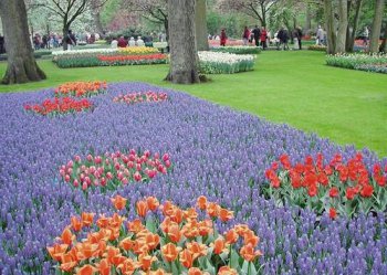 Jarní Holandsko s návštěvou květinového korza