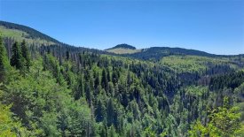 Jarní prázdniny v Apuseni