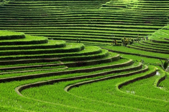 Jáva, Bali, Bromo (aktivně s výstupem na sopku) - Indonésie