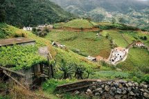 Jednodenní túry a květinový festival na Madeiře - Portugalsko - Madeira 