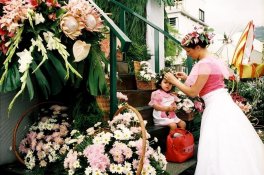 Jednodenní túry a květinový festival na Madeiře - Portugalsko - Madeira 